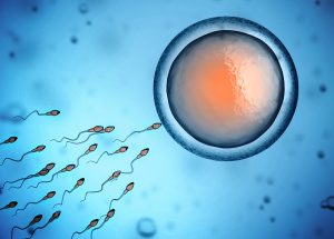 What You Should Know about Artificial Insemination