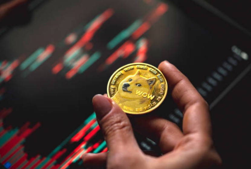 How to buy doge manage your crypto holdings and plan for future profits