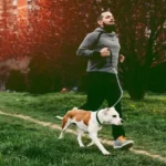 6 Ways To Prepare A Pet For A Change In Routine