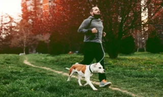 6 Ways To Prepare A Pet For A Change In Routine