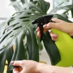 Clean at the Plant Is Not the Same as Clean at Your Sink