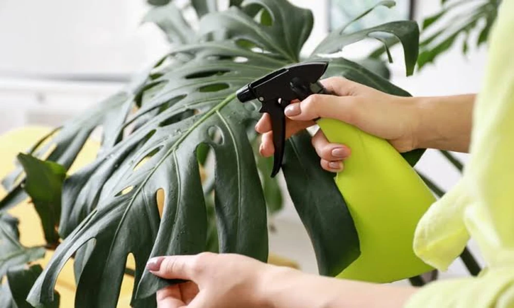Clean at the Plant Is Not the Same as Clean at Your Sink